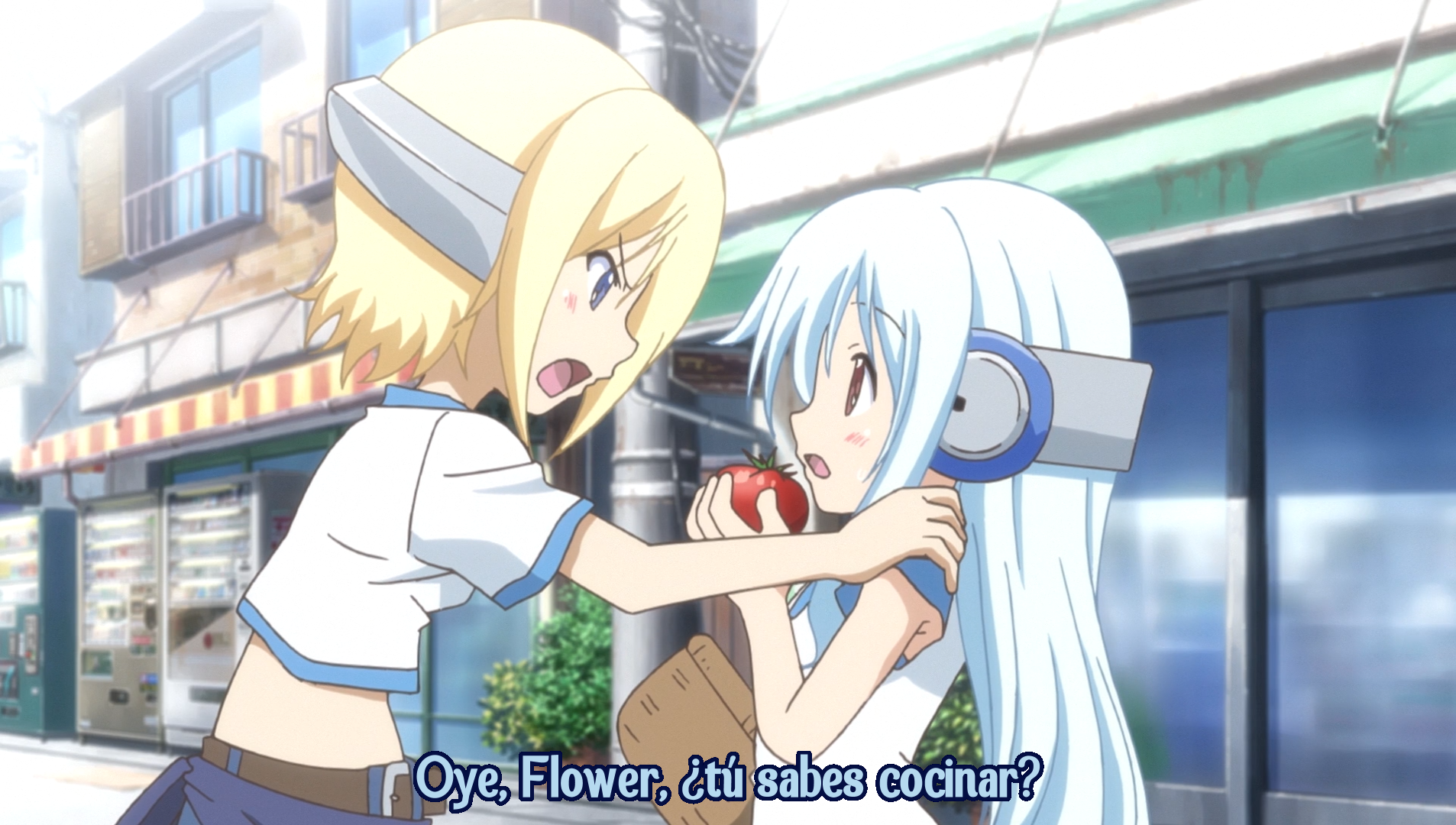 Kowarekake no Orgel (Nanikano Fansub)